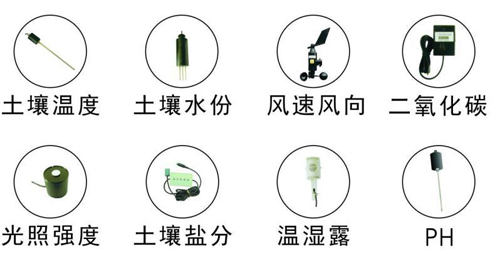 【智慧農(nóng)業(yè)物聯(lián)網(wǎng)百科】傳感器在農(nóng)業(yè)物聯(lián)網(wǎng)系統(tǒng)建設(shè)中的重要作用